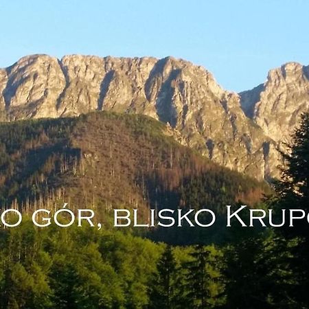 Willa Otulina Pod Giewontem Zakopane Bagian luar foto