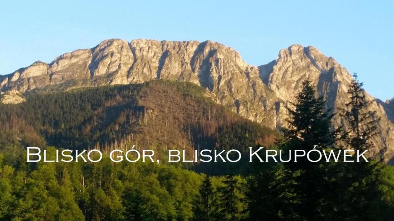 Willa Otulina Pod Giewontem Zakopane Bagian luar foto