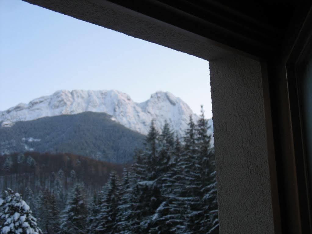Willa Otulina Pod Giewontem Zakopane Bagian luar foto